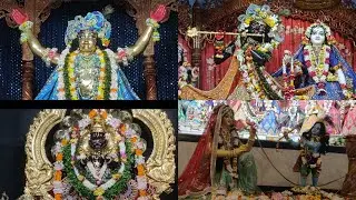 morning dsrsan of Lord Radha madhab,panchattava,Narasimha#love #mayapur