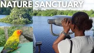 an evening at a beautiful nature sanctuary 🌷🦋 | Graeme Hall Nature Sanctuary Barbados 🦢