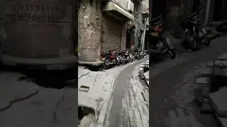 Flower Street Walk | Beautiful Desi Street View #street #flowers #explorepakistan #shorts