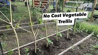 Free No Cost Vegetables Trellis