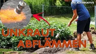 Unkr&auml;uter abfl&auml;mmen | Auf versiegelten Fl&auml;chen und in der Kultur | M&ouml;hrendamm abfl&auml;mmen