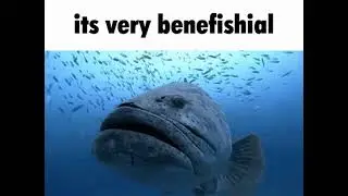 It's very benefishal