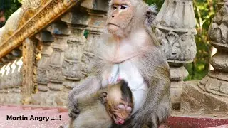 However Malida Trying To Stop Martin The Milk - Martin Still Obtains His Milk Everyday But Not Much