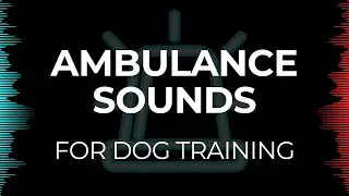 Ambulance Sirens for Dogs | Desensitization Sound Training for Reactivity & Anxiety