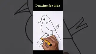 Easy Bird drawing for beginners / Drawing for kids