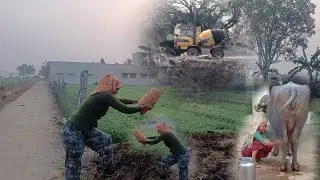 તબેલા નું અને ખેતી નું કામ કાજ...