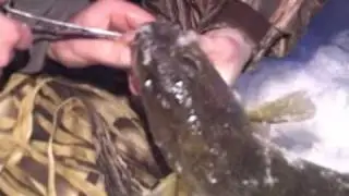 The Fishing Guide - Ice Fishing for Walleye