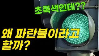 어른들은 왜 초록색을 파랗다고 할까?