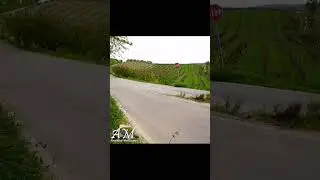 Flat out Campedelli - Canton #RallyDueValli 2023