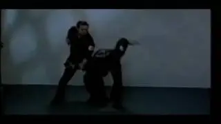 Dragon Society International Knockouts
