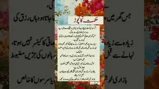 Hekmat Ka nichor allamaiqbal Hakeem luqman qutoss #poetrt #blessings #important #shorts #shortvideo