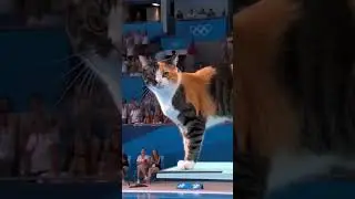 swing cat #music #rap #remix  cat reflex