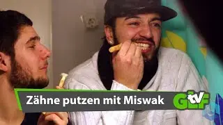 Was ist ein Miswak Stick ?  | Gute Laune Furtwangen