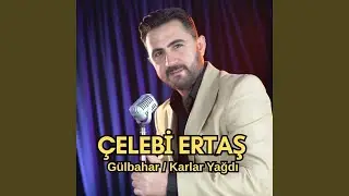 Gülbahar / Karlar Yağdı