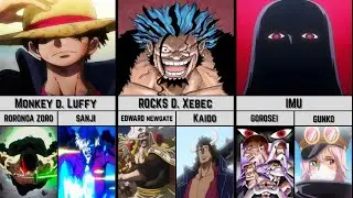 One Piece Character And Their Right And Left Hand Man