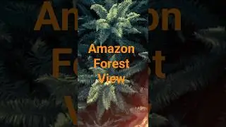 the Amazon forest view#travel #explore #photography #milesandmoments