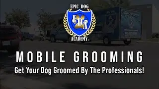 Mobile Grooming / Epic Dog Academy