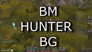 WoW -BFA prepatch BM Hunter Full BG