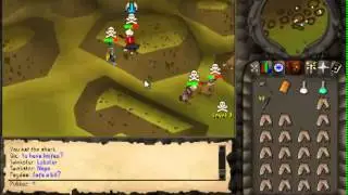 Pukkaz Mini Vid