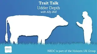 Trait Talk - Episode 14 - Udder Depth