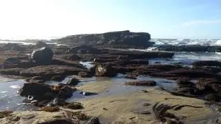 Shell Beach, La Jolla