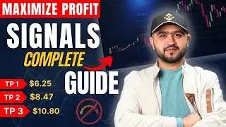 Complete Crypto Signal Guide | Buying, Tps 1 Tp2 Tp3 and SL Setup in Pakistan