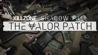 The Valor Patch