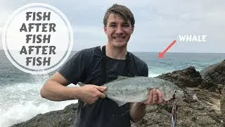 Slaying tailor off Hat Head point (tips and tricks throughout)