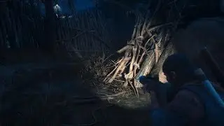 Days Gone Remastered - Time for Some Payback - Survival 2 - No Damage