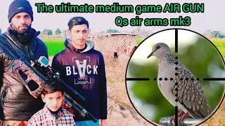 Qs Air Arms Mk3: The Air gun Hunting game changer 2025 san project slugs 21g.....