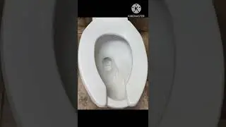 FROGBOX TOILETY