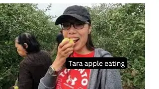 Apple Picking sa Canada | Study, Work and Enjoy sa Canada | Alan and Leslie