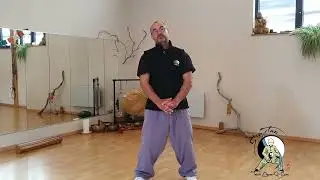 Qi Gong - Yi Jin Jing - 12/ Remuer la queue