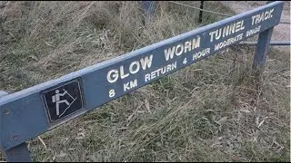 Walking The Glow Worm Tunnel Track