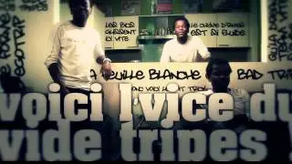 Ludus Libre - Vide Tripes feat. Pymp