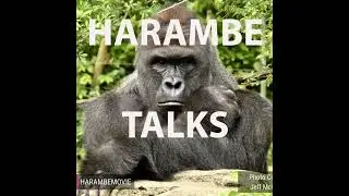 Ep. 9 - Harambe Talks with Ian Redmond OBE
