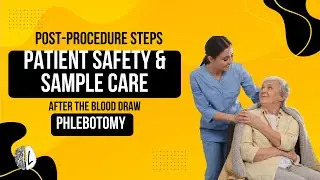 Phlebotomy Post-Procedure Steps: Patient Safety & Sample Care After the Blood Draw