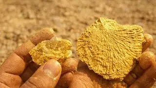 البحث عن الذهب المفاجئة وجدت المكان الحقيقي