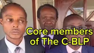 The Conservative Barbados Loyalist Party (The &ldquo;C-BLP&rdquo;) has NO REASON to exist - Politics, Barbados
