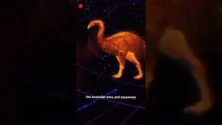 Lost Creatures Of Zealandia, Moa