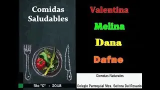 Comidas Saludables VDMD 09 2018