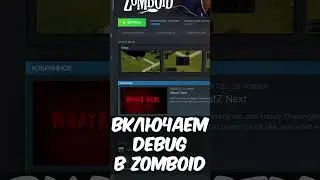 Включаем режим разработчика в Project Zomboid. #projectzomboid #pz