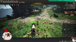 Corsair | 803 GS | Roses, Boss Blitz, PvE, Yapping