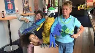 Vicky Entwistle has a special message for World Migratory Bird Day - Doctor Dolittle