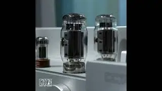 Octave Audio HP700 SE & MRE 220 Monoblocks