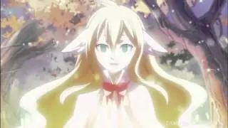 You Can Be King {Fairytail AMV)