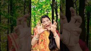 cat funny shots 🐼#shots #fullfunny #comedy #virshorts #animalfunny #plssubcribemychannel 🙏