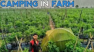 🌧️ Solo Camping In Farm | camping in India 