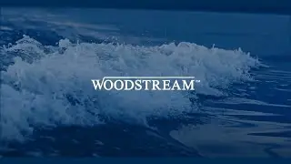 Woodstream: World Oceans Day 2022