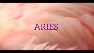 🎉🎊PREDICCIONES 2019 ARIES 🎊🎉